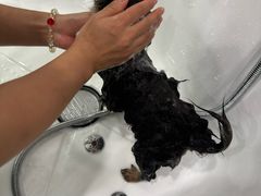 -Pets First伊珊娜洗护·精致美容·家庭式寄养(新会路店)