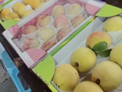 -南汇水蜜桃采摘(大团店)