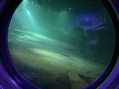 -白鹤梁水下博物馆