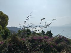 -东澳岛