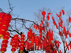 -沂蒙山旅游区龟蒙景区