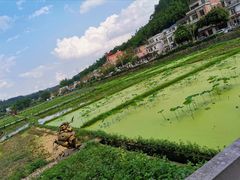 -红山村