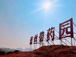 点击看大图 -蓝丝带催乳产康产后恢复中心(殷巷店)