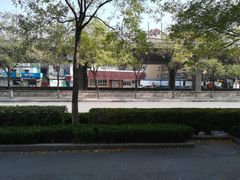 -济南孟家扒蹄店