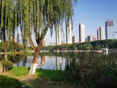 -后襄河公园