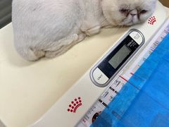-芭比堂宠物医院·全科爱猫医院·仁德分院