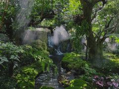 -Chom Cafe and Restaurant