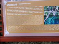 -蝴蝶泉公园