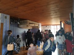 -金山农民画村-枫泾波兰倒置屋