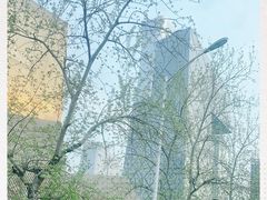 -中央广播电视总台(光华路办公区)