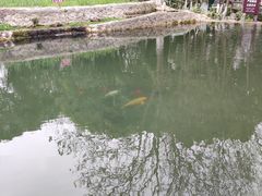 -成都市活水公园