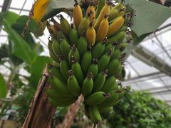 -兰陵国家农业公园