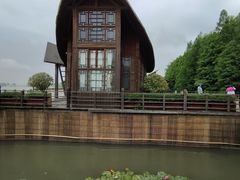 -溱湖国家湿地公园