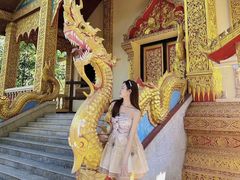 -西双版纳勐泐文化旅游区