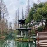 假装在京都[加油]有水有亭也有桥