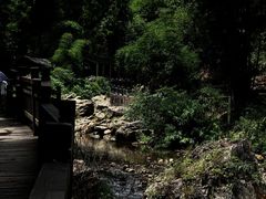 -三峡人家风景区