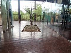 -南京市无想山景区