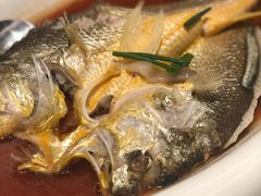 黄鱼-美乐食街(小南店)