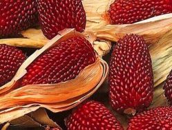 -Oasis Beauty水磨坊科技美肤中心