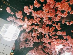 -九田家黑牛烤肉料理·自助(洪洞县城市花园店)