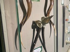 -台州博物馆
