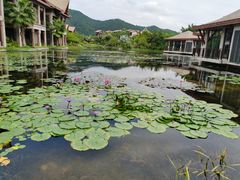 -广州从化都喜泰丽度假温泉酒店