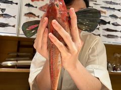 -镹·鱼料理  国产鱼使用店