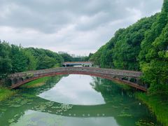 -昆山城市生态森林公园