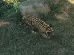 -泉州海丝野生动物世界