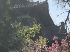 -西安青龙寺遗址景区