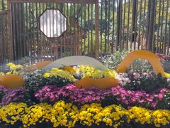 -上海醉白池公园