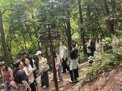 -青城山