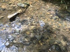 -康陵正德春饼宴26号