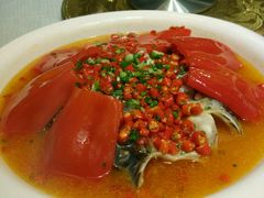 -大蓉和(双楠店)