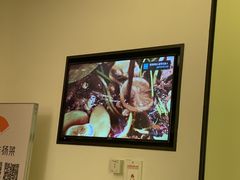 -小厨娘淮扬菜(六合欢乐港店)