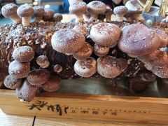 -大头椰·椰子鸡火锅(南宁万象城店)