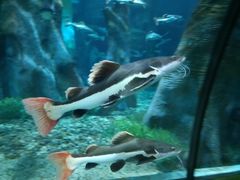 -福州罗源湾海洋世界旅游区