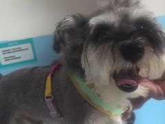 -瑞派福兴宠物医院犬猫全科·骨科·中西医结合(河东店)