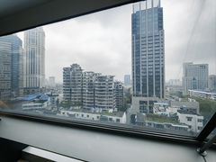 -紫峰大厦