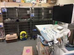 -爱诺耐芙动物医院(万博店)