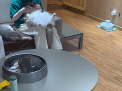 -MOCHA明星猫咖(田子坊店)