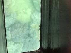 -亚龙湾海底世界