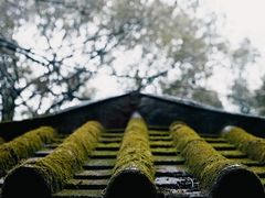 -首义公园-武昌蛇山烈士祠