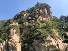 -大岭沟猕猴桃谷风景区
