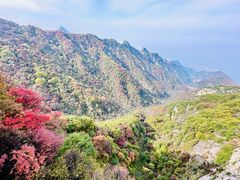 -少华山国家森林公园