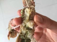 -胶东海鲜大排档(北太平庄店)