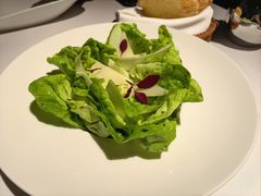 -Oyster Talks 四度蚝法餐厅