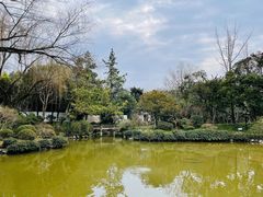 -秋霞圃