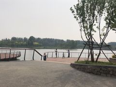 -东郊湿地公园