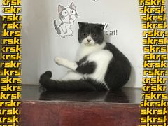 -金鸡岭桥头公园